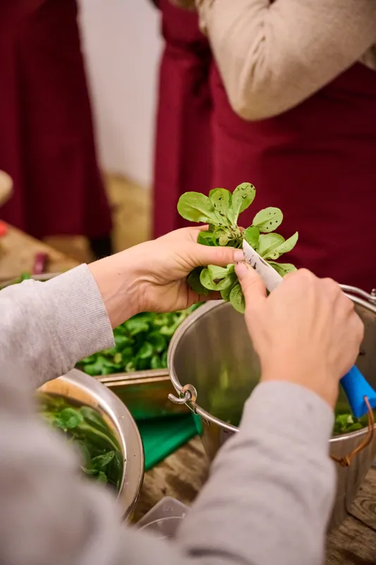 Hands serving fresh leafy greens from a shared bowl during a communal meal