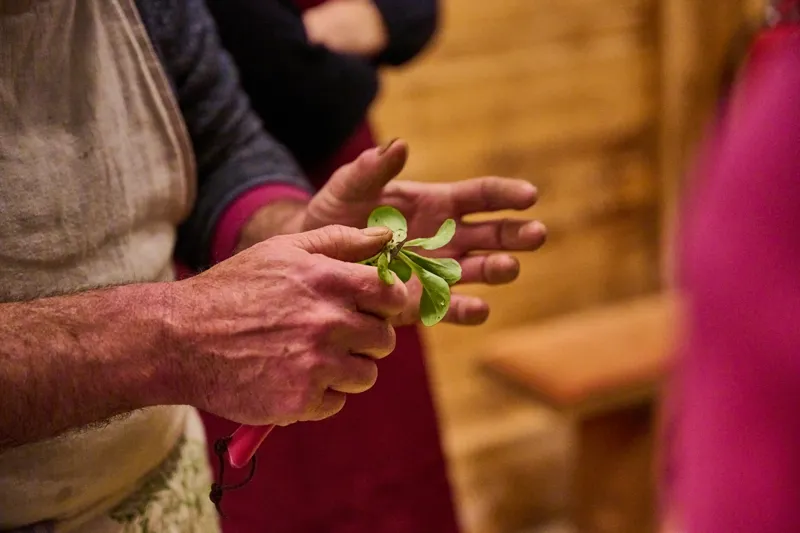 Two individuals hold a small green leaflet plant, likely participating in a nature or sustainability activity. The scene appears to emphasize connection with natural elements.
