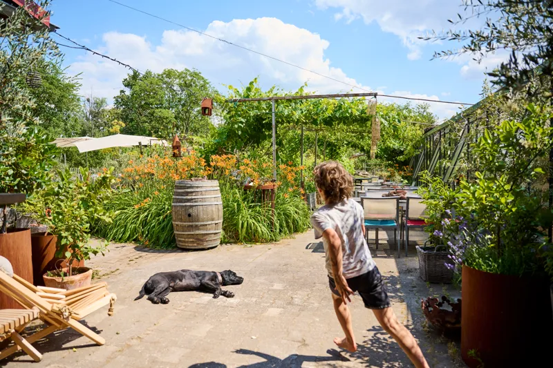 A person walks along a pathway in a lush garden setting, surrounded by vibrant flowers and greenery. A dog lies calmly on the ground near the path, while rustic wooden elements and outdoor seating areas are visible in the background.