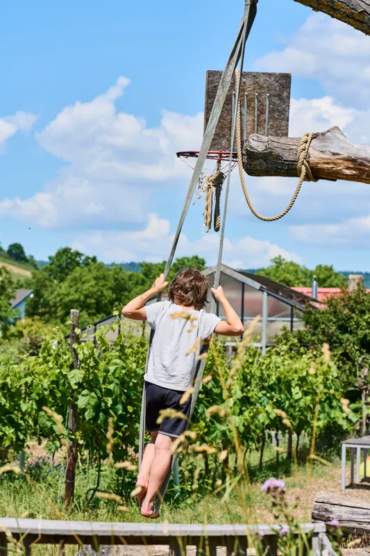 Gänse im GenussGarten zwischen Wiese und Reben.