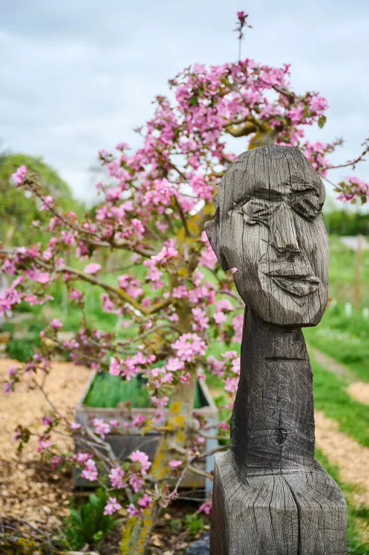 A carved wooden sculpture of a stylized human face stands prominently against a backdrop of blooming pink flowers on a tree. The scene captures a serene outdoor setting with lush greenery and natural light.